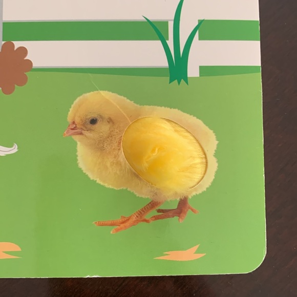 SOLD - Not For Sale
3 for $5 - Baby Einstein - Touch and feel book - Picture 3 of 4